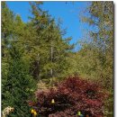 평창농원 이미지