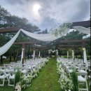 용산-현장-2117 | 서울 무료야외 정원 결혼식, 정원결혼식, 남산한남웨딩가든