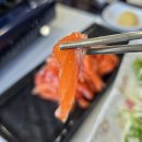 금능가든횟집 | 충주 맛집 | 금능가든횟집 - 내돈내산 송어회 맛집 n번째 방문 단체 가족 모임 추천