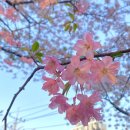 내가 더 행복해지길 바래