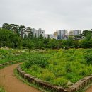 푸른수목원 이미지