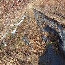 효산농장 이미지