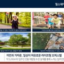 도화체육관 이미지