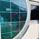 신기공중화장실 서울신문