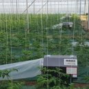 (주)하인지 이미지