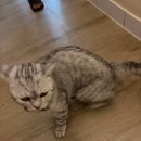 리치플러스 스파 | 벤탄시장 gk센트럴 호텔,사이공 중앙 우체국,꾸안넴,안스스파 네일 마사지,신세계면세 캐리어,메디큐브)