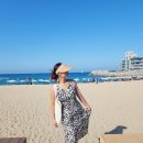 Albero (알베로) | 강릉 안목해변 카페 알베로 (ALBERO) 간단 솔직 후기