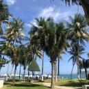 예원세탁 | 3월 가족 해외여행 추천! 3박 4일 해외여행지 3곳 (상하이/도쿄/나트랑 가성비 숙소&amp;일정 총정리)