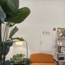 엠블랙 | 두피 고민으로 찾게 된 대구 엠블랙 남성 두피관리 후기