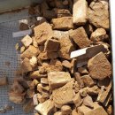 의성남부초등학교 병설유치원 이미지