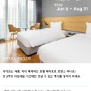 호텔 페이토 이미지