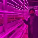 남부터미널역 이미지