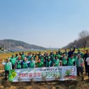 (주)나무 이미지