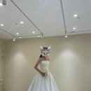 리니아 | [wedding] 스포사리니아 촬영드레스 가봉후기