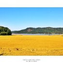 철원안보여행 DMZ 생태평화공원