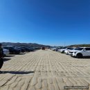 안동문화예술의전당과 크라운 해태가 함께하는 견생조각전 | 여주 강천섬 힐링문화축제 은행나무 명소 실시간 단풍현황 및 주차, 방문 후기 주 후반 주말 방문 추천