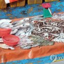 동해-단속-34 이미지
