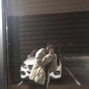 솔솔노래방 이미지