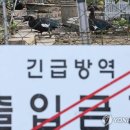 종수 농장 이미지