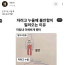 달구지카사랑 이미지