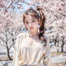 D00991 이미지