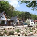 삼척들레펜션 네이버블로그