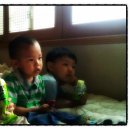 병기농장 이미지