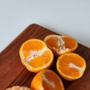 동환농장 이미지