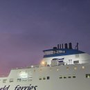 퀸애견 | 제주애견동반여행 퀸제누비아2호 후기 강아지3마리랑 배타고 제주가기!