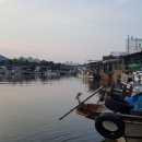 용호동 섶자리 이미지