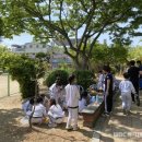 (학교)경포초 이미지