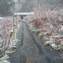 함박농장 이미지