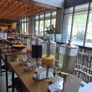 스테이 별앤송 | 정선] 4성급 웰니스 리조트 '파크로쉬 리조트 앤 웰니스(Park-Roche)' 솔직 후기(힐리언스 선마을과 비교)