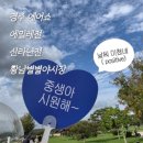 주말 경주 축제 나들이 : 블랙이글스 에어쇼 에밀레전 신라난전 황남별별야시장 후기