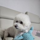 쓰다드멍 이미지