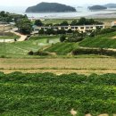 남해는, 지금 이미지