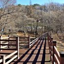 생거진천자연휴양림 이미지