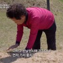 할매축사 네이버블로그