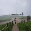 대망목장 이미지