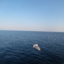 해맞이태양광발전소 이미지