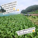네바퀴점빵 이미지