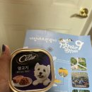 거창타임펜션 이미지