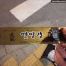 트레퍼빌딩 이미지