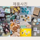 샐리솝