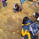 팔복어린이집 이미지