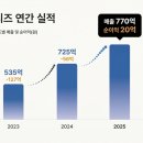 핸디즈 머니투데이