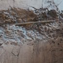 제우스 PC카페 이미지