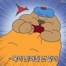 편도 절제 수술 후기 (몸무게)