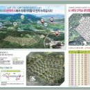 파인트리하우스 이미지