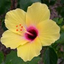 하얀물안개 이미지